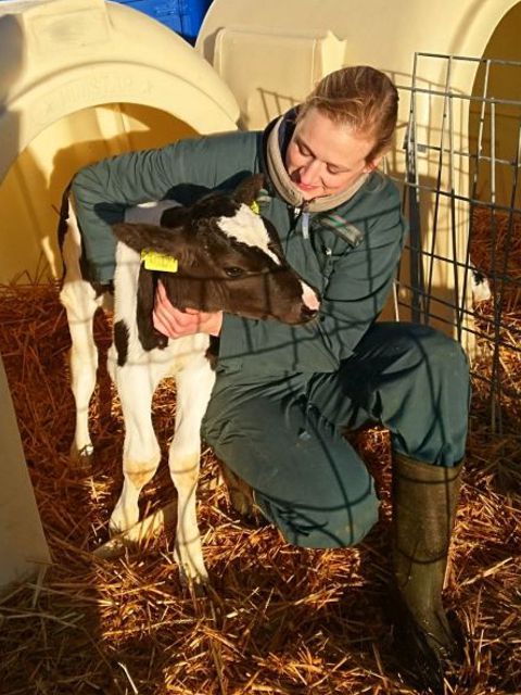 Als Tierärztin